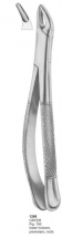  CRYER Fig. 150 lower incisors, premolars, roots 